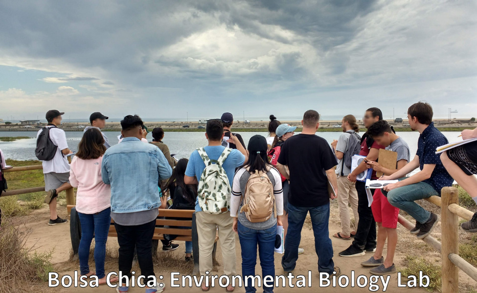 Students visit Bolsa Chica Ecological Preserve as part of their Environmental Biology Lab course.