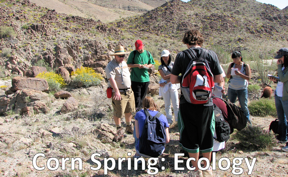 Students taking notes while professor Ken Collins lectures on desert ecology while in the desert at Corn Spring.