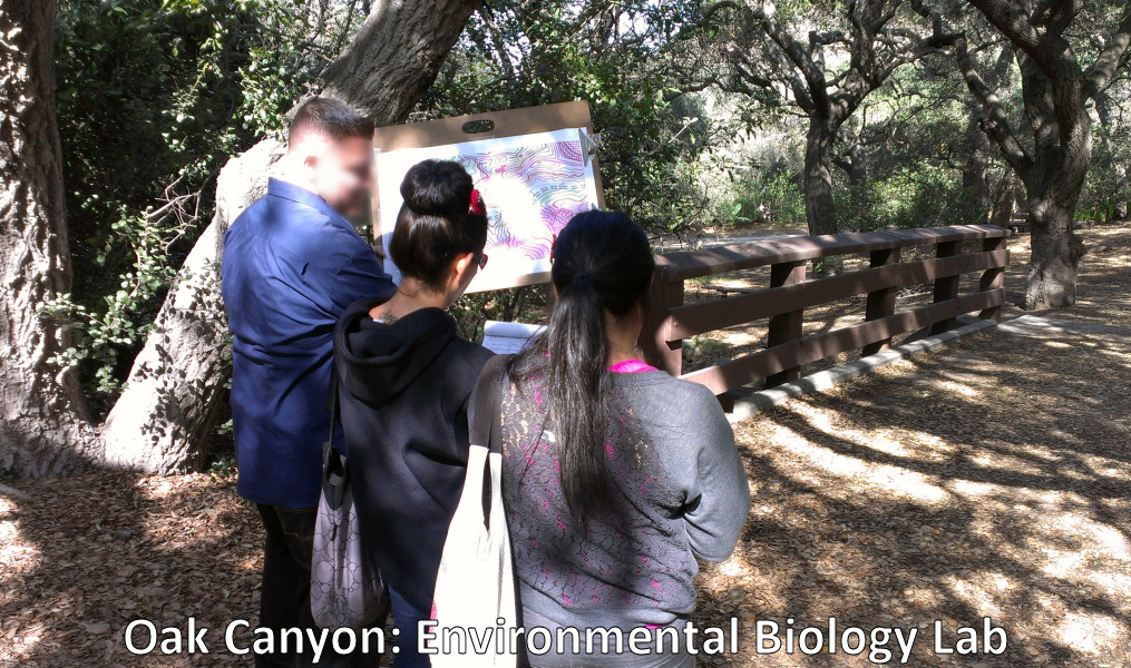 Students referring to documents and large topographic map in Oak Canyon.