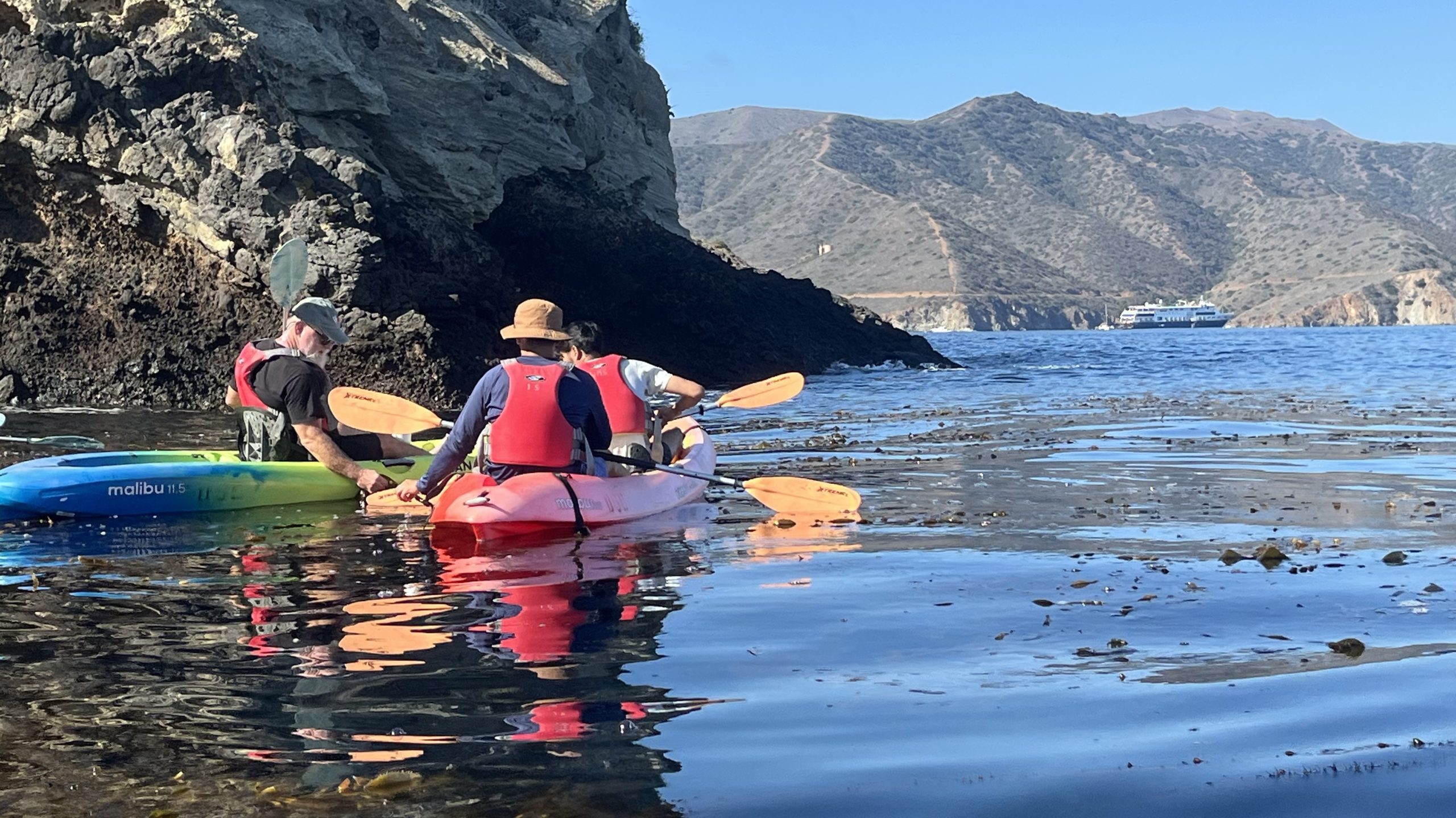 Professor and students on kayaks looking at kelp.