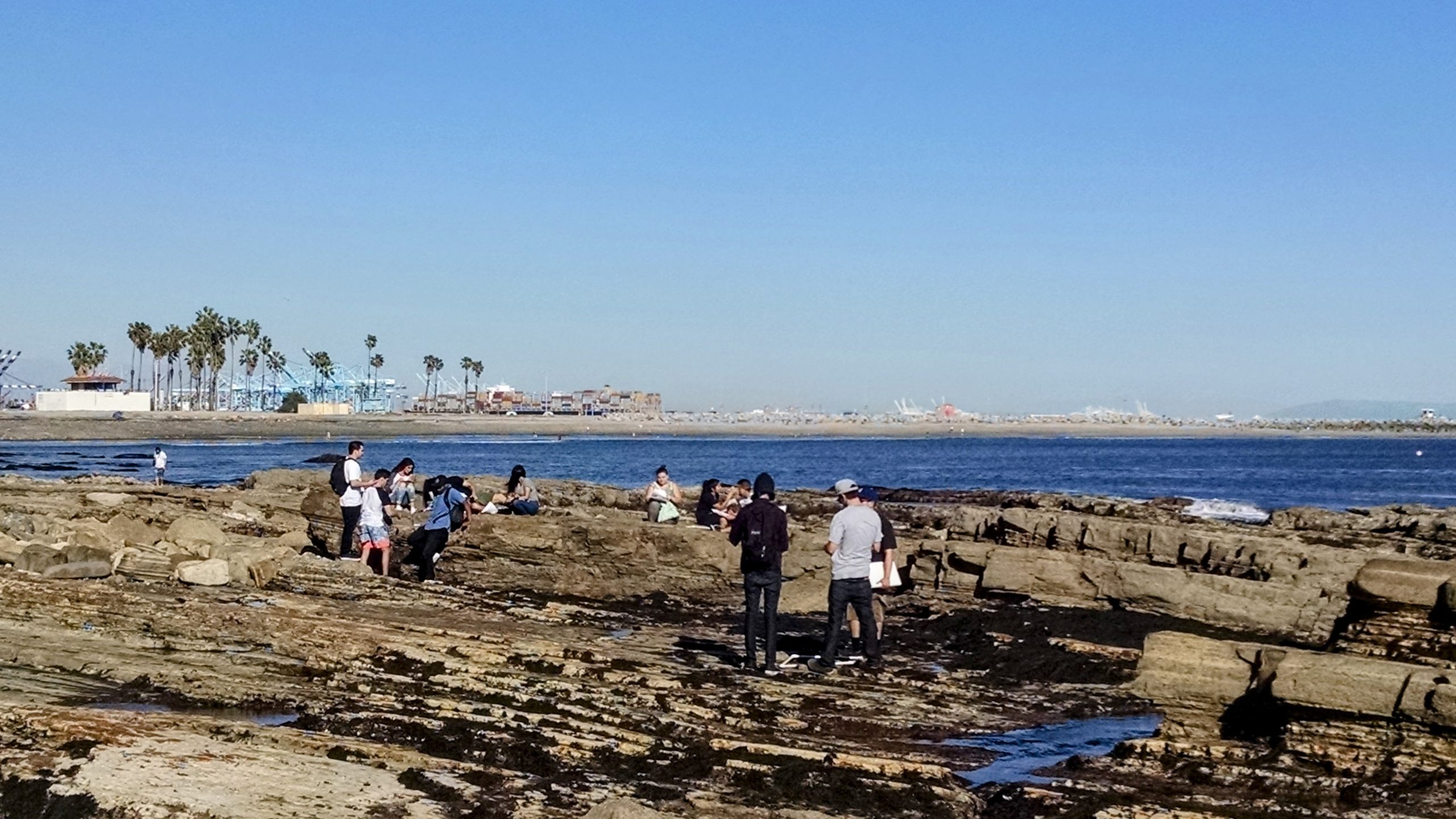 Students studying a rocky intertidal zone.